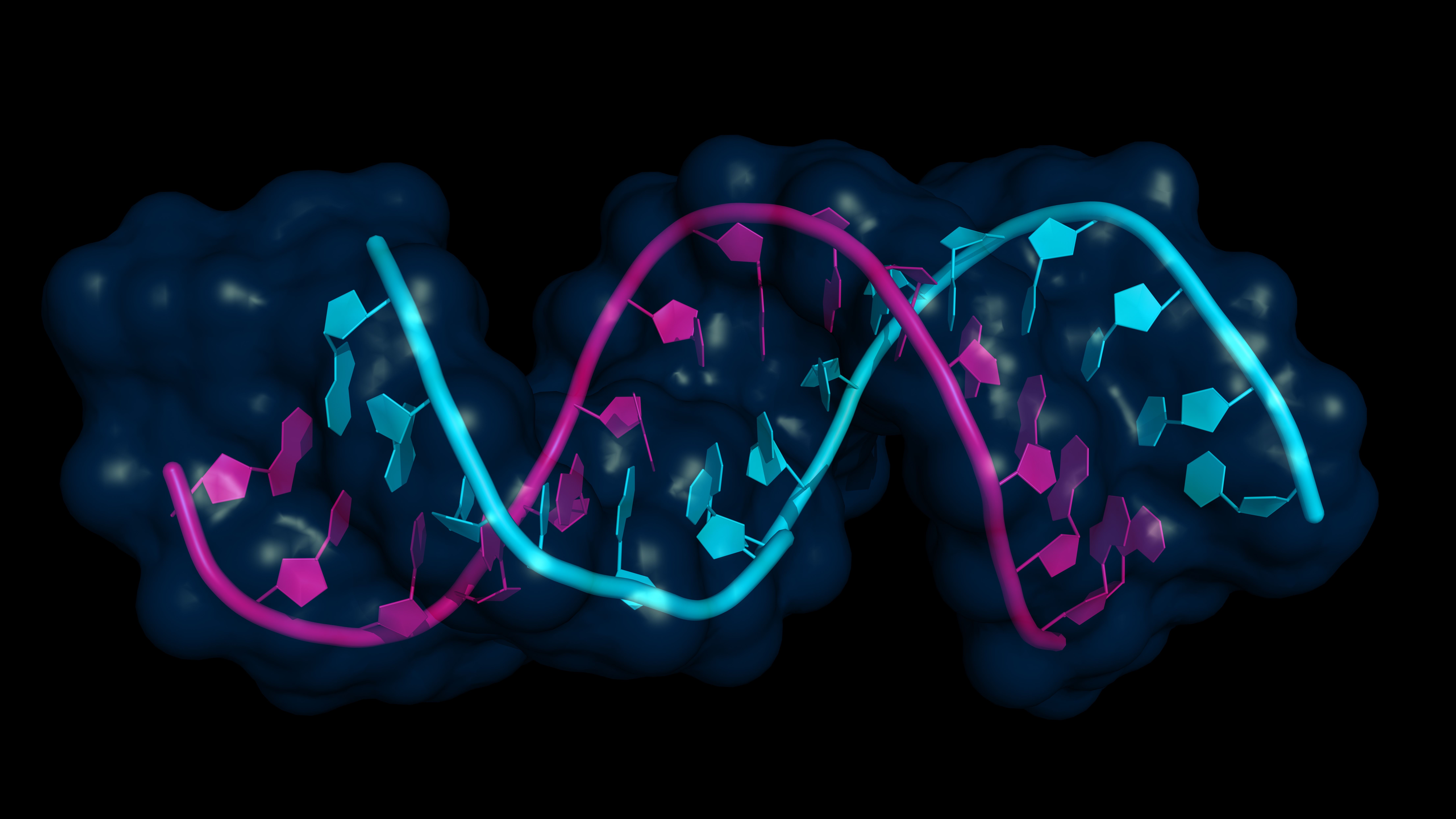 8849x4976 gene expression