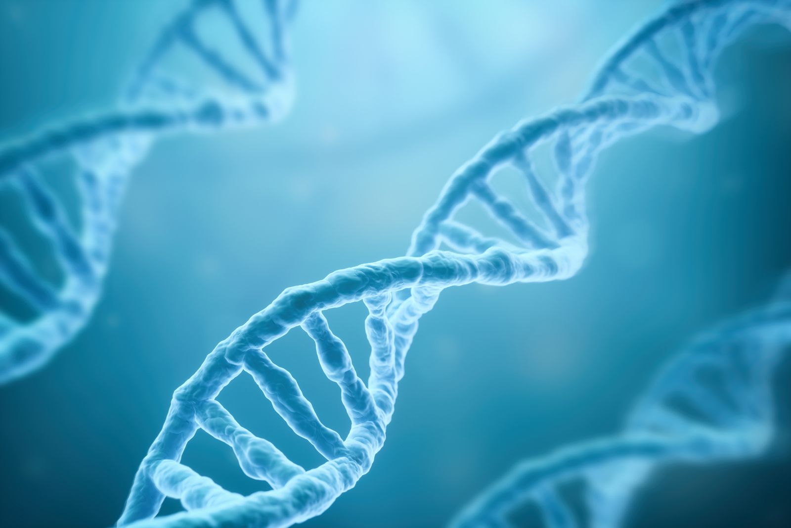 1600x1067 What Is the Difference Between DNA and RNA?