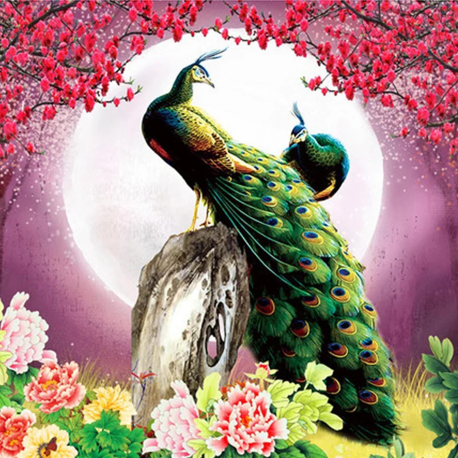 1600x1600 MILUXUEXUN 3D photo wallpaper peacock