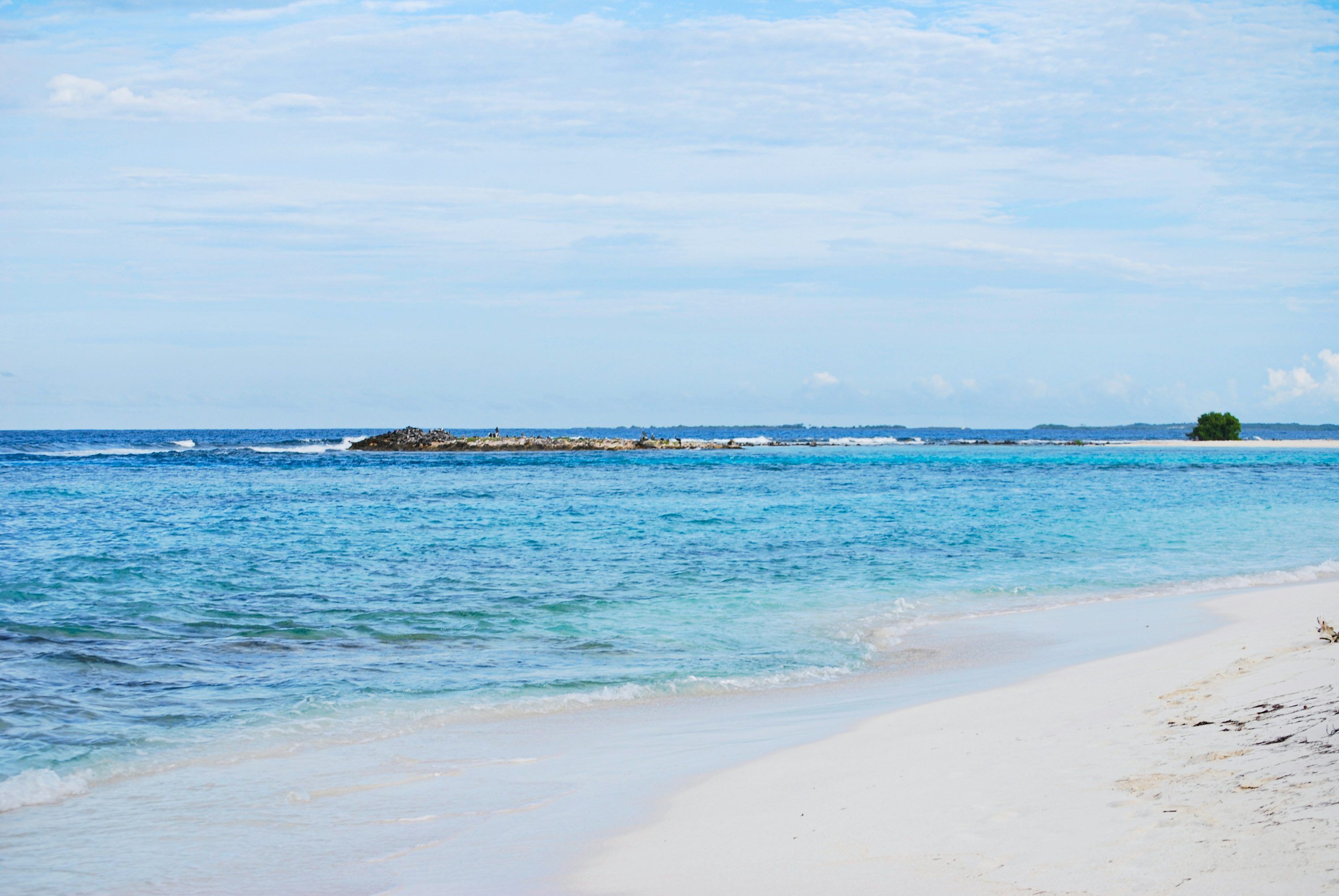 3000x2008 Los Roques Picture. Download Free