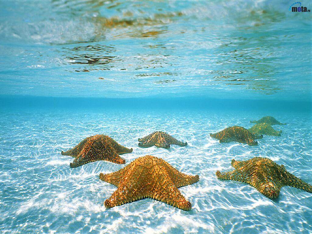 1024x768 Fotos Los Roques TOURS ®