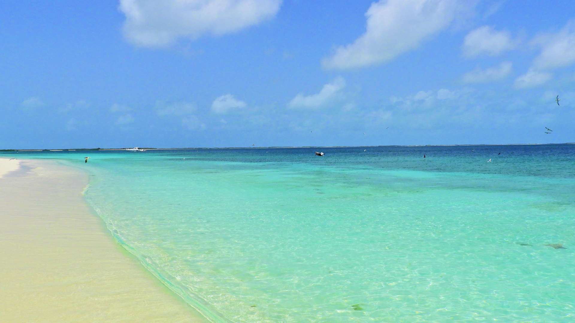 1920x1080 Playas Los Roques Venezuela. Visita