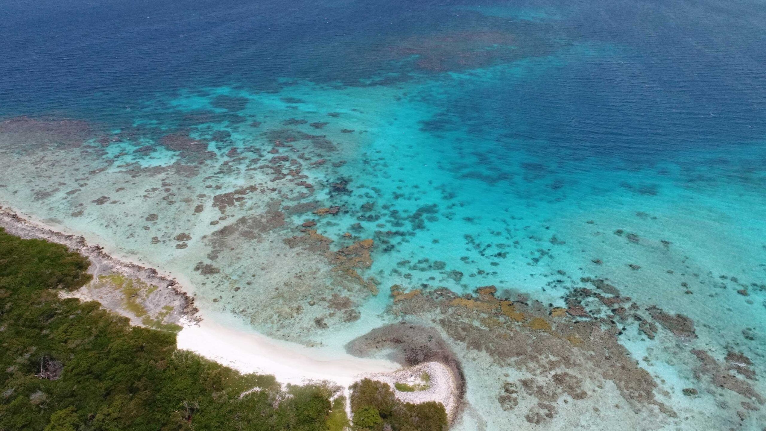 2560x1440 cost to travel to Los Roques