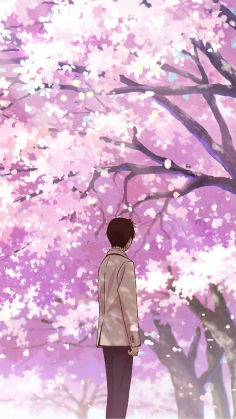 800x1422 HD haruki shiga wallpaper