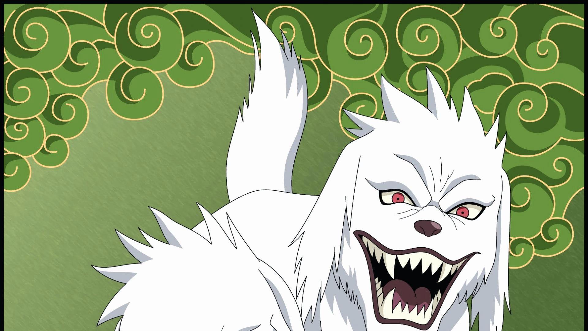 1920x1080 Kiba Wallpaper background picture