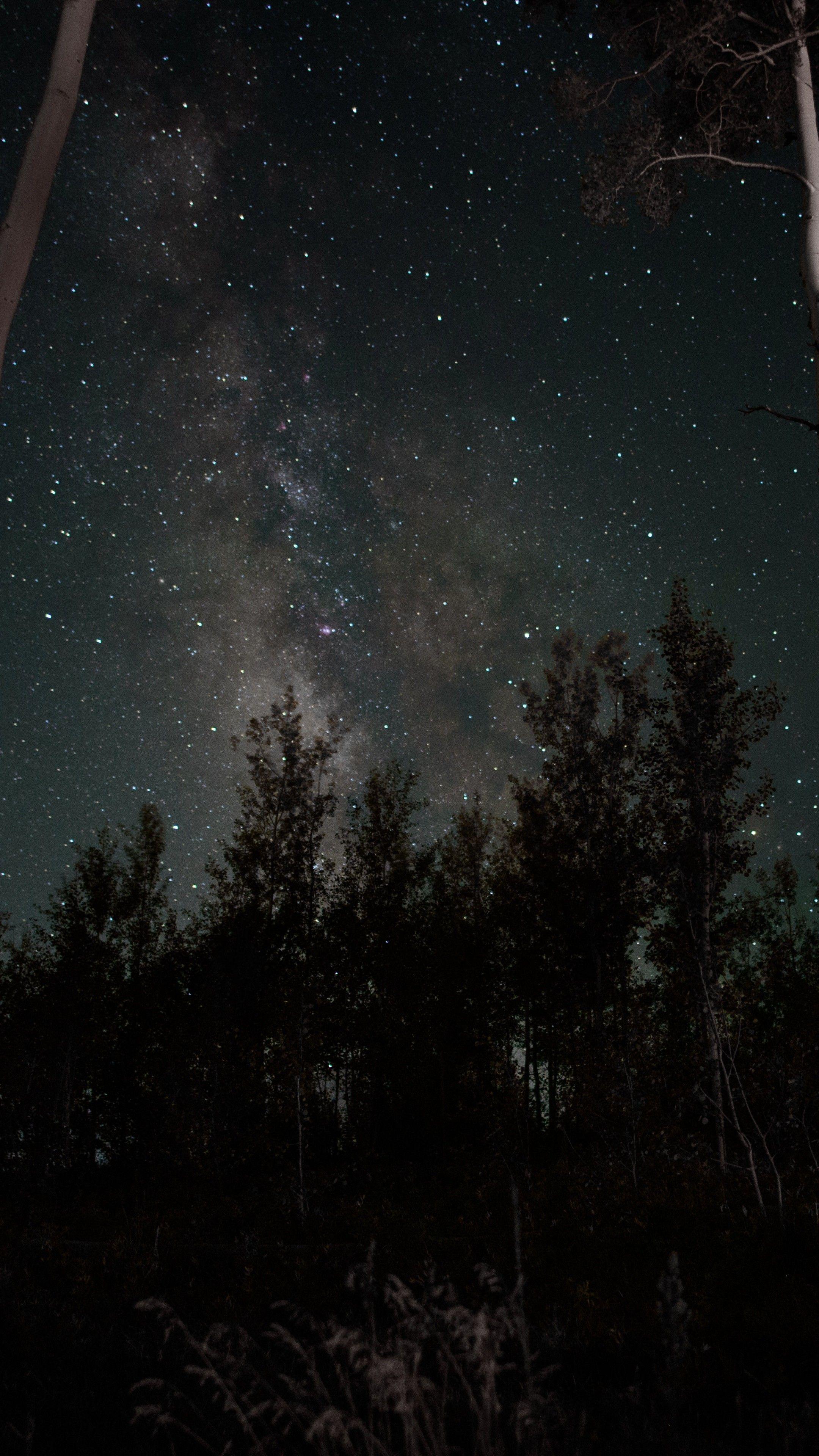 2160x3840 Night Sky Phone Wallpaper