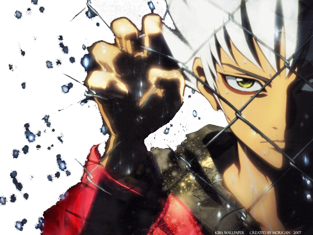 1024x768 Kiba HD Wallpaper
