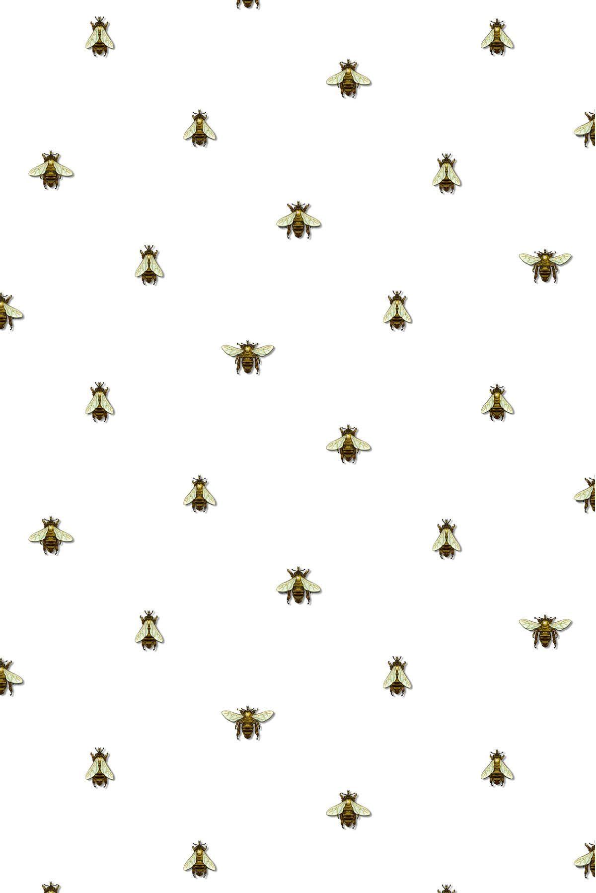 3d Wallpaper Iphone Bee Image Num 14