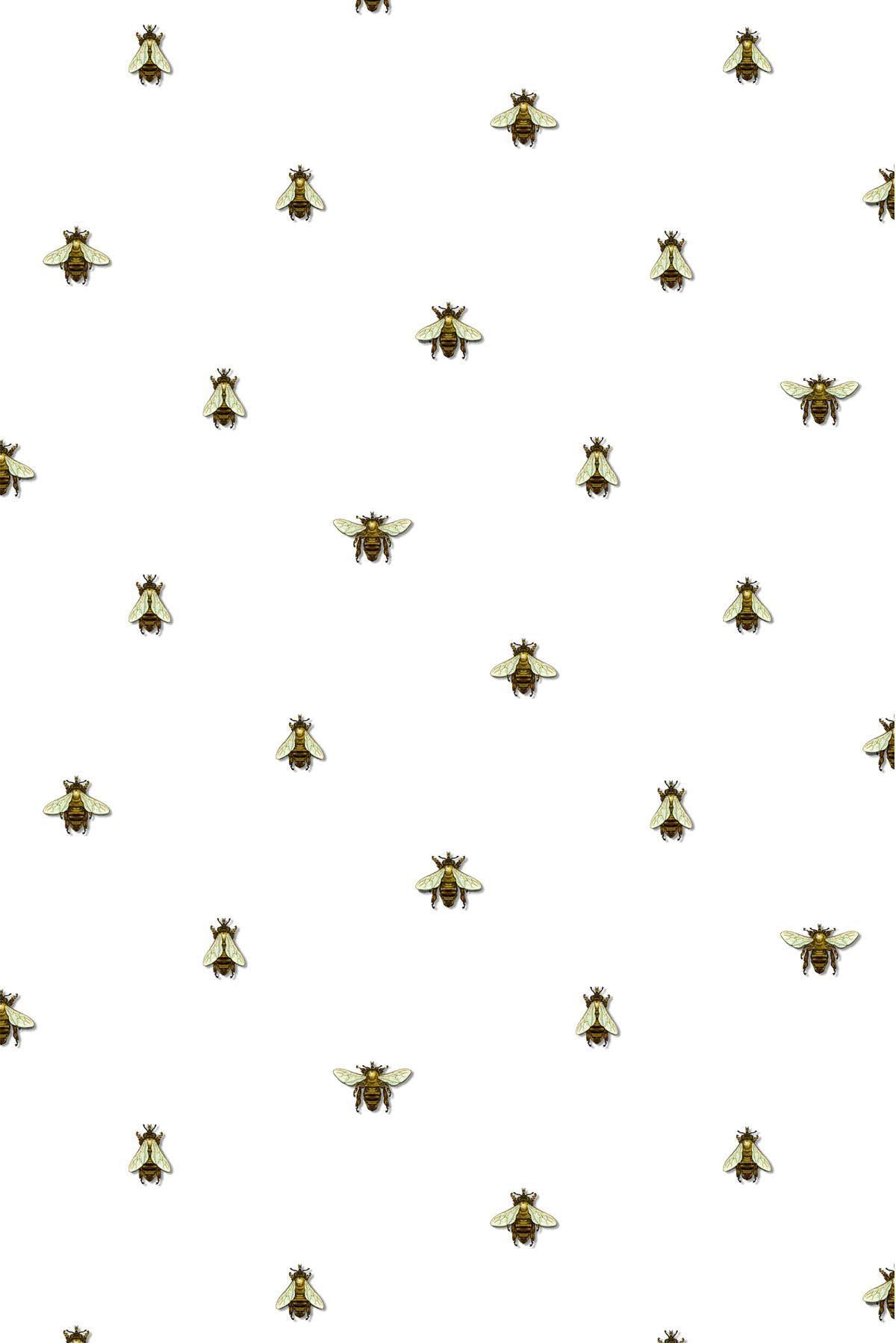 Bee HD Wallpaper  PixelsTalkNet