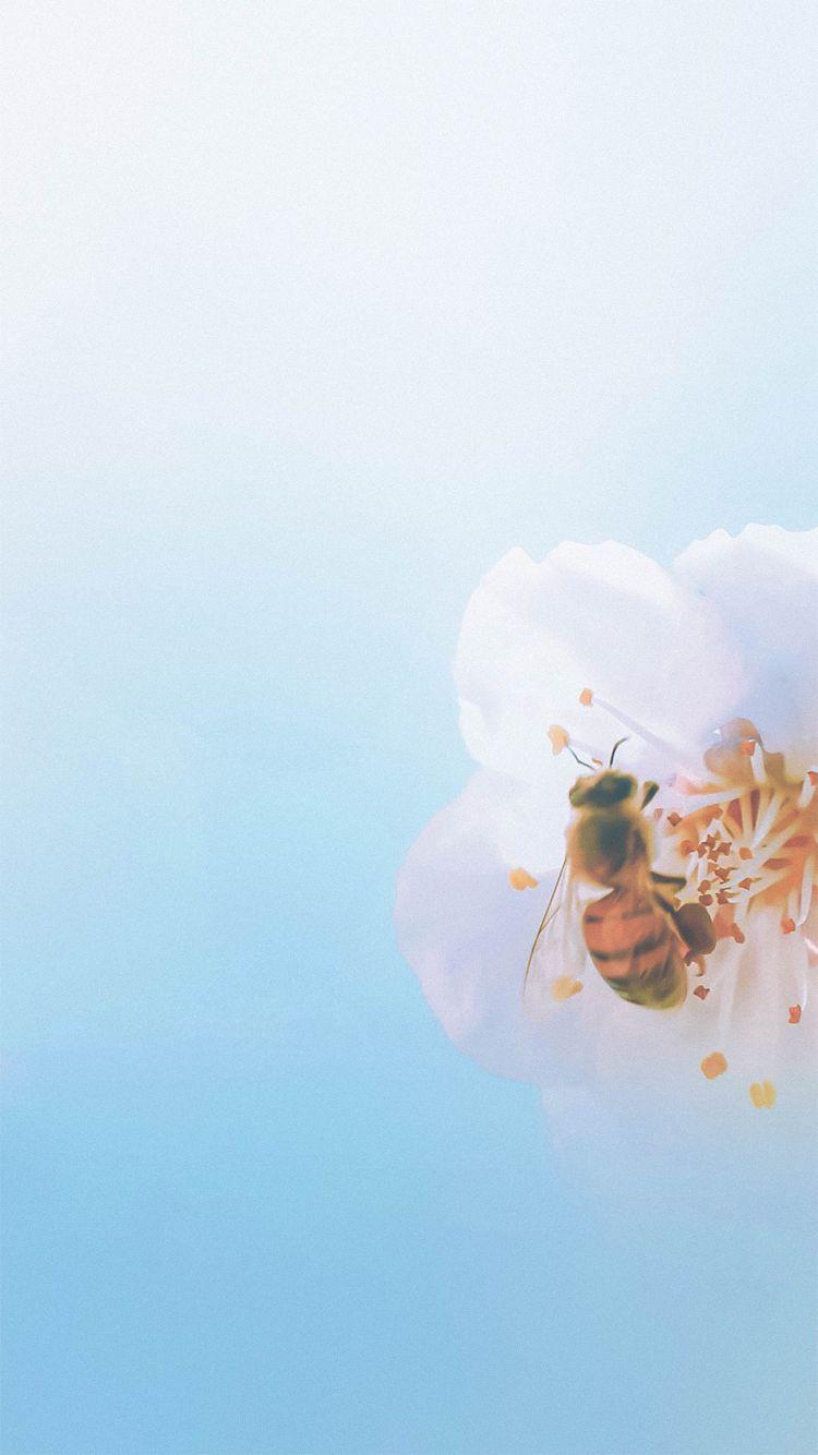 Bee iPhone Wallpapers - Top Free Bee iPhone Backgrounds - WallpaperAccess
