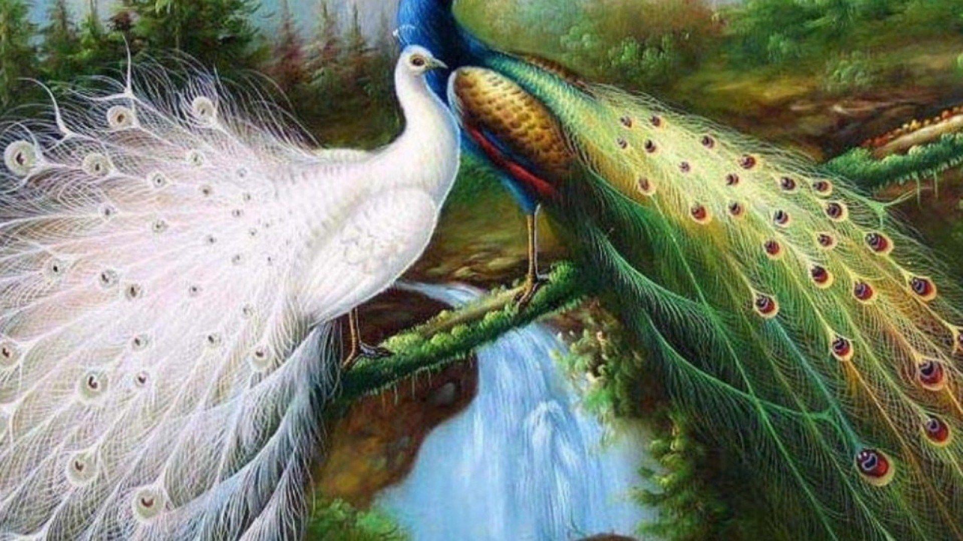 Beautiful Birds Wallpapers - Top Những Hình Ảnh Đẹp