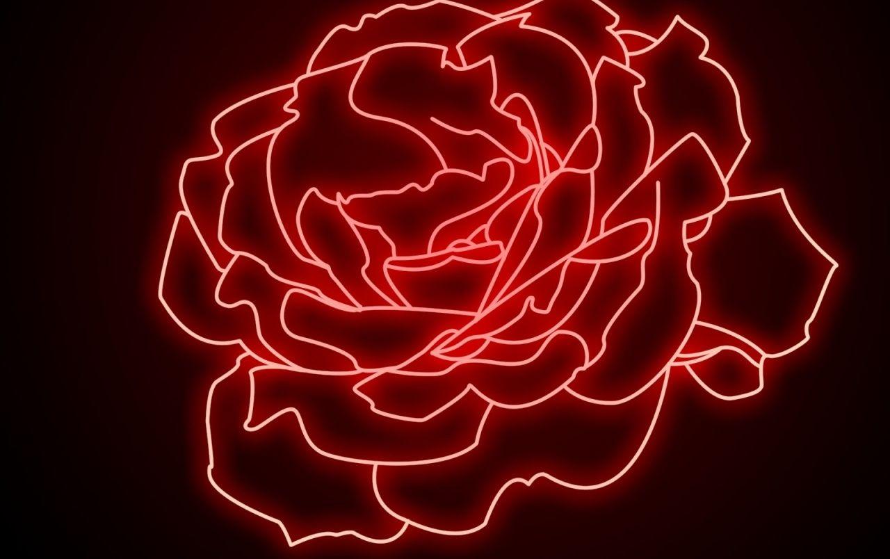 Pink Neon Rose Background Free Psd Neon Background Neon Effect Background  Image And Wallpaper for Free Download