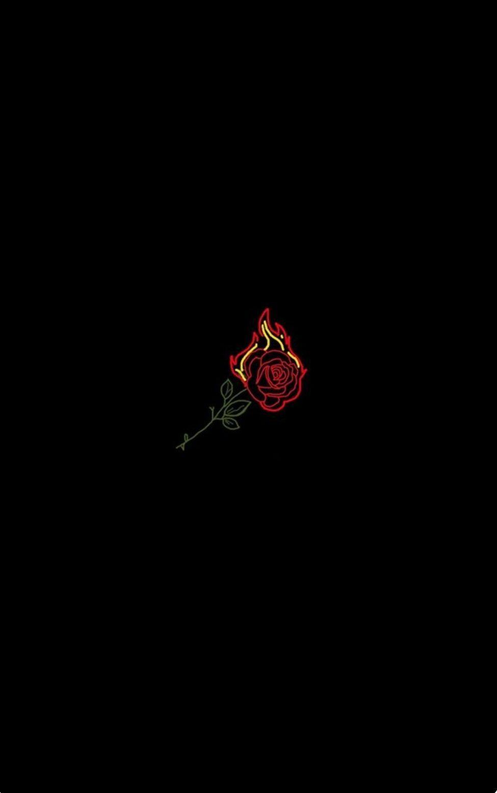 Hình nền hoa hồng lửa 975x1554