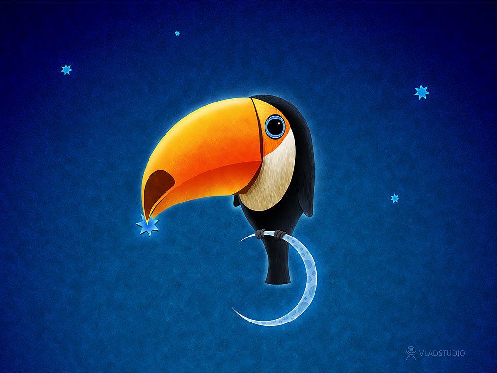 1024x768 Toucan