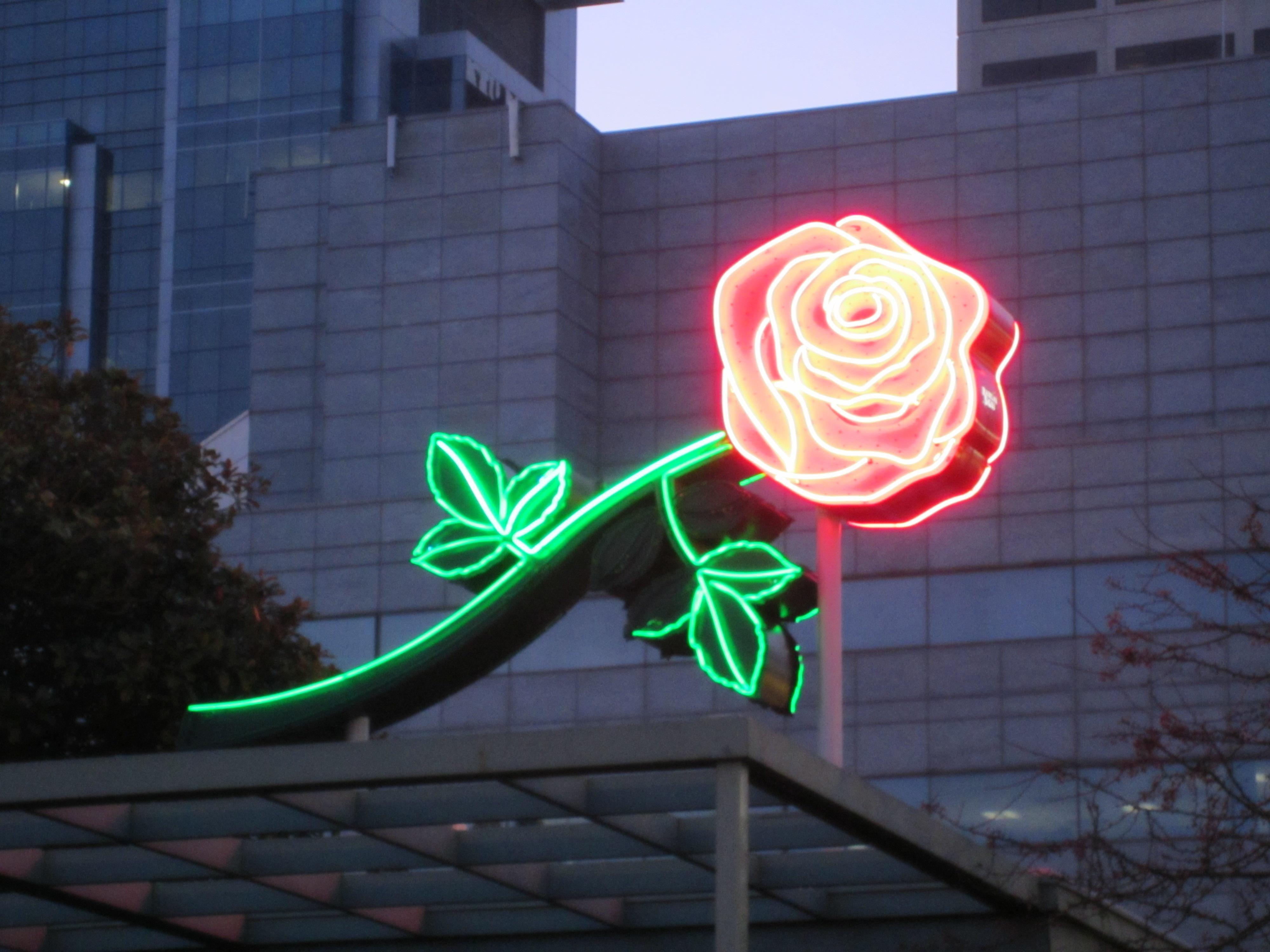 Neon Rose Wallpapers - Top Free Neon Rose Backgrounds - WallpaperAccess