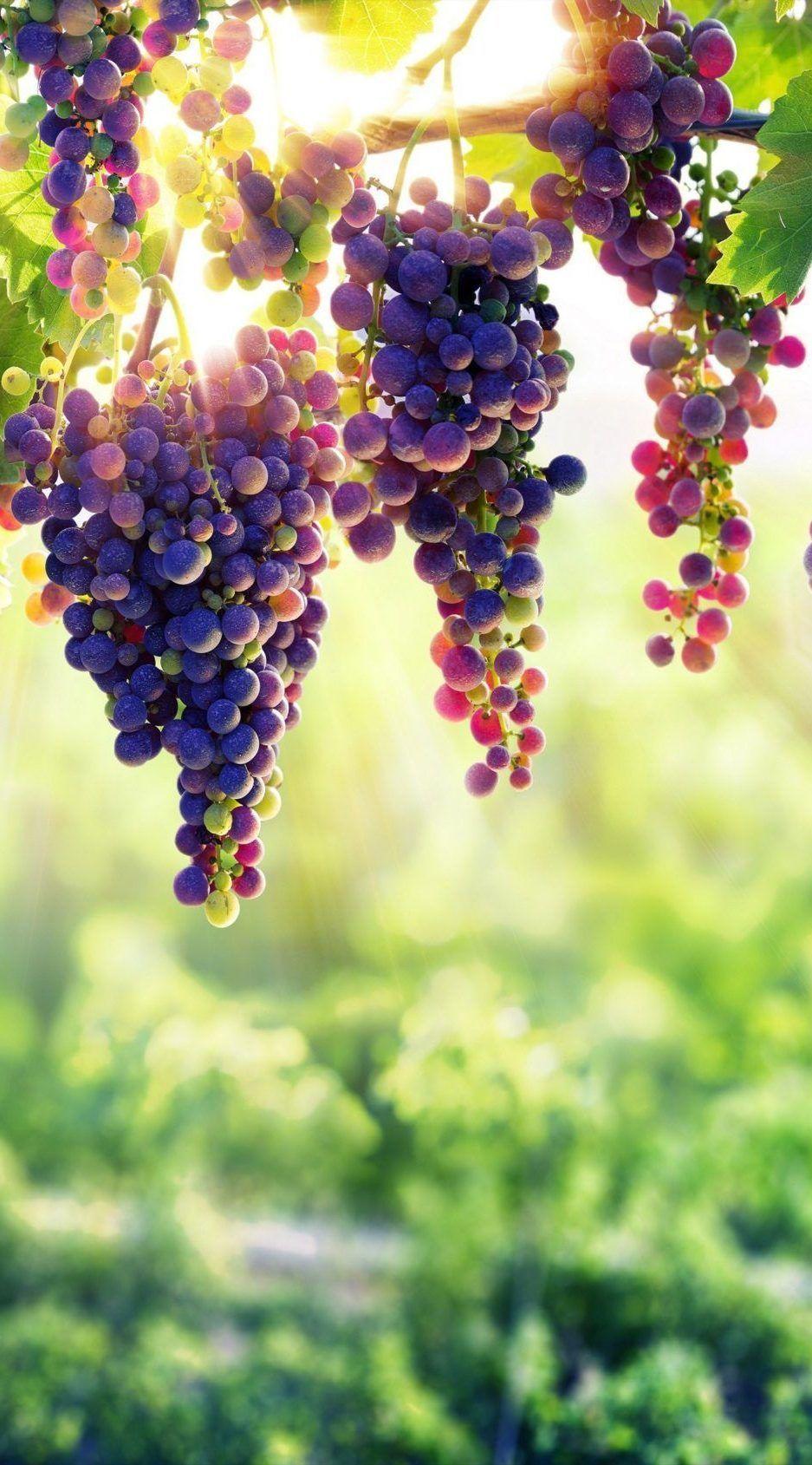 937x1689 Best 10 Ultra HD 4K Wallpaper for Your Mobile Phone in 2019