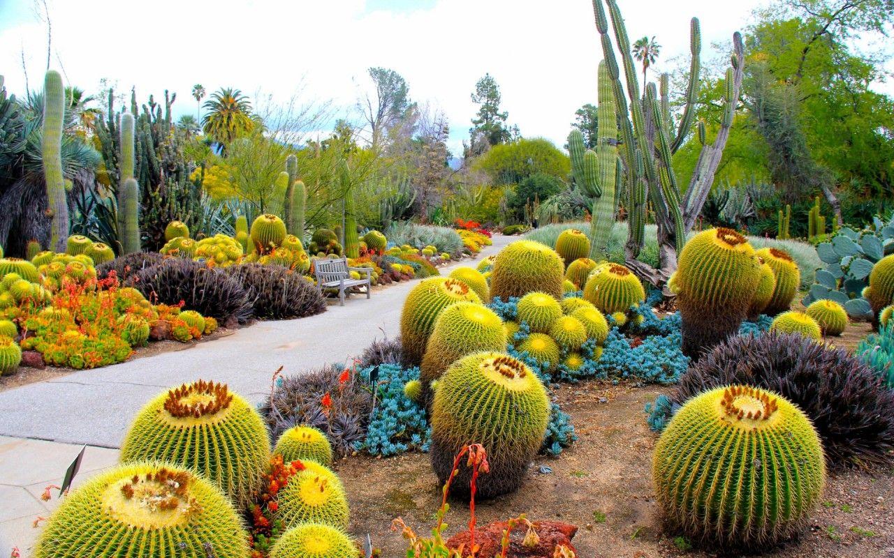 1280x800 Botanical Garden San Marino wallpaper. Botanical Garden