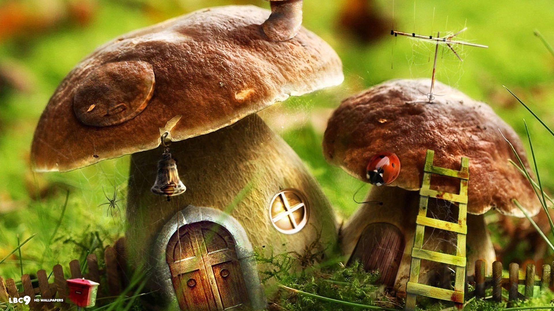 1920x1080 house wallpaper and photo manipulation HD background