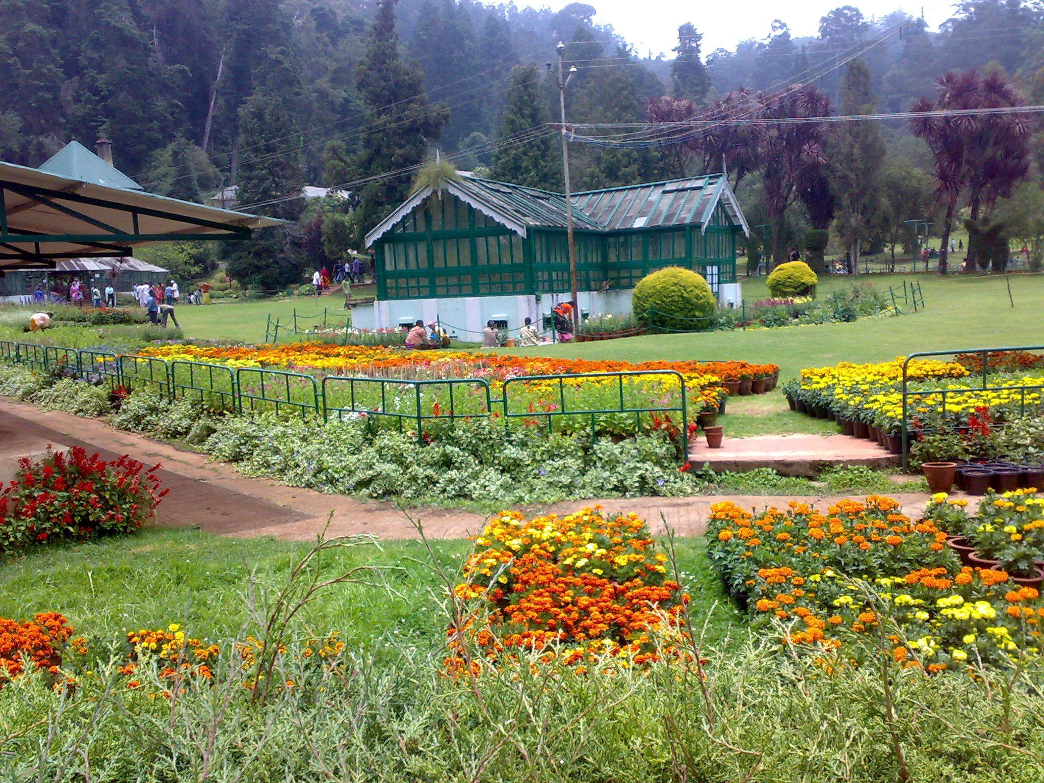 2048x1536 OOTY BOTANICAL GARDENS Photo, Image and Wallpaper