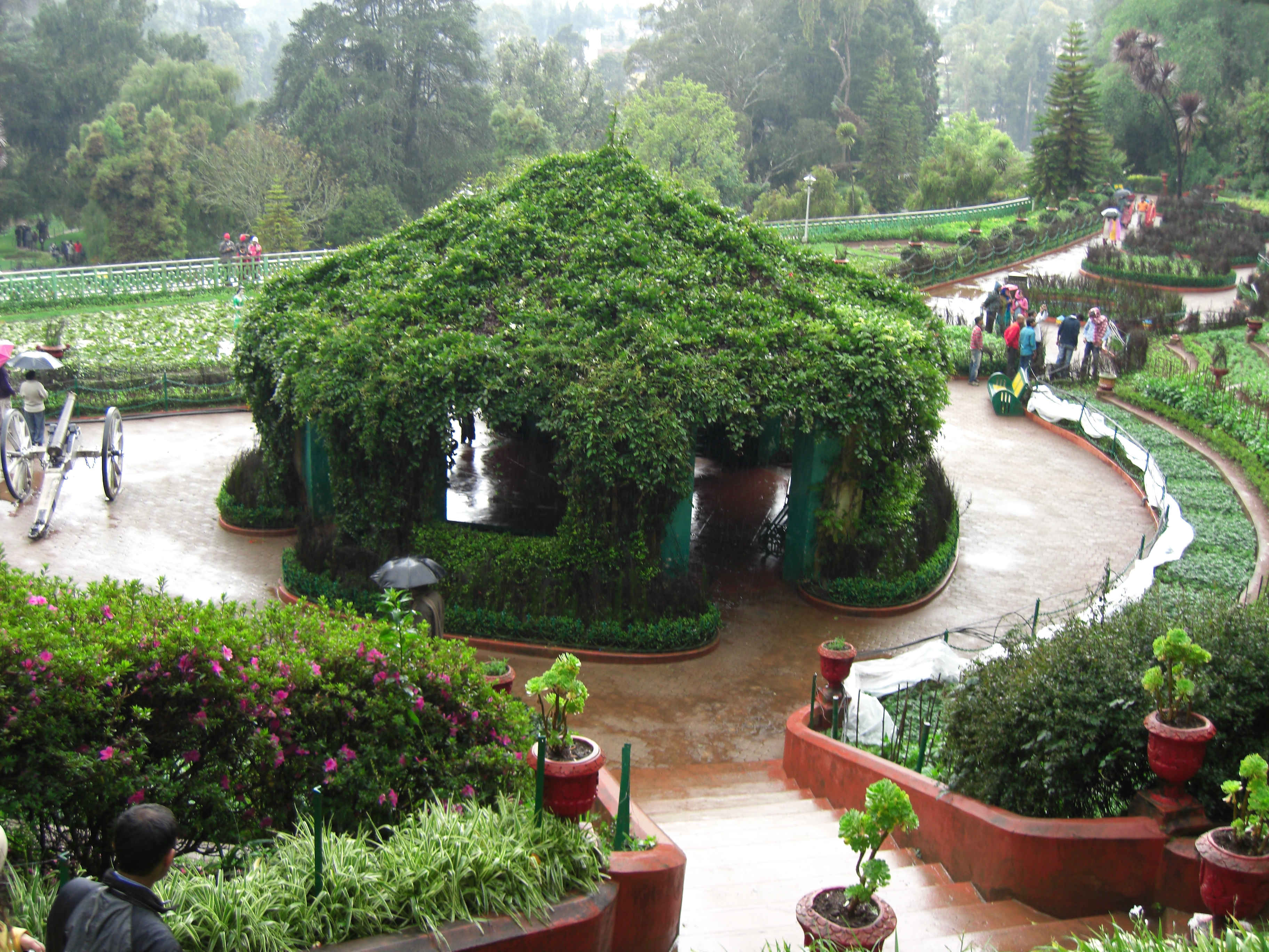 3648x2736 OOTY BOTANICAL GARDENS Photo, Image and Wallpaper
