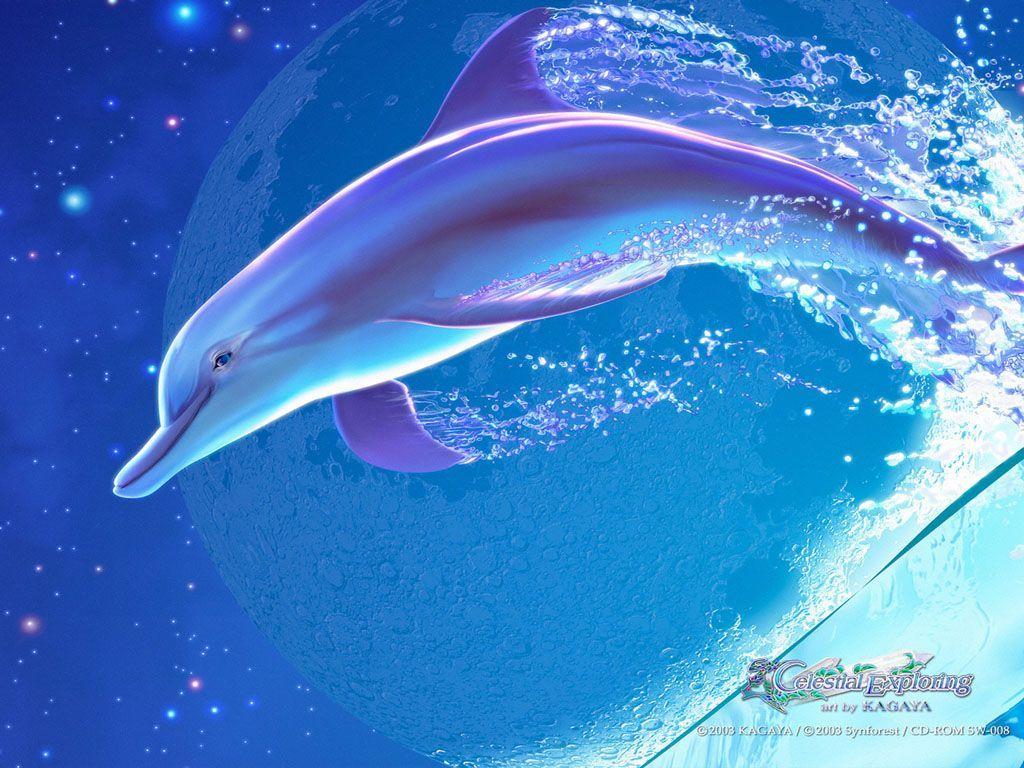 Cute Dolphin Wallpapers - Top Free Cute Dolphin Backgrounds -  WallpaperAccess