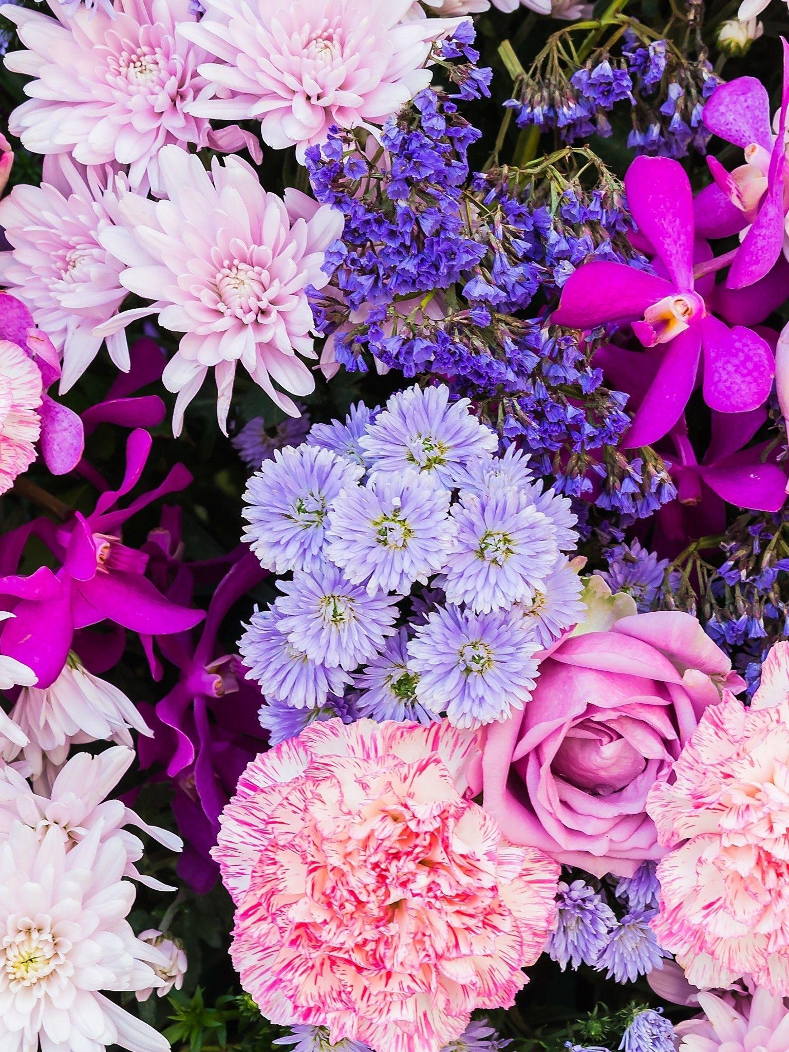 1536x2048 Download 1536x2048 Colorful Flowers, Botanical Garden