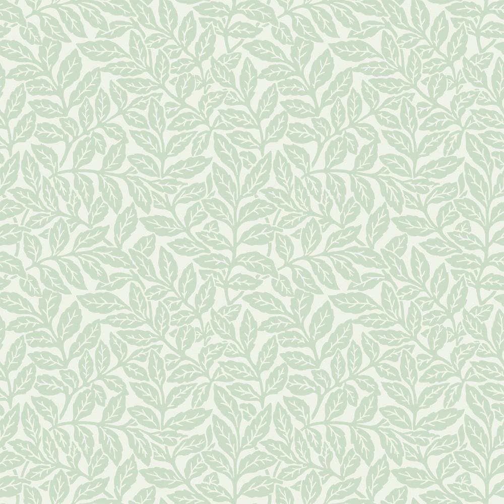 1000x1000 WALLPAPERS