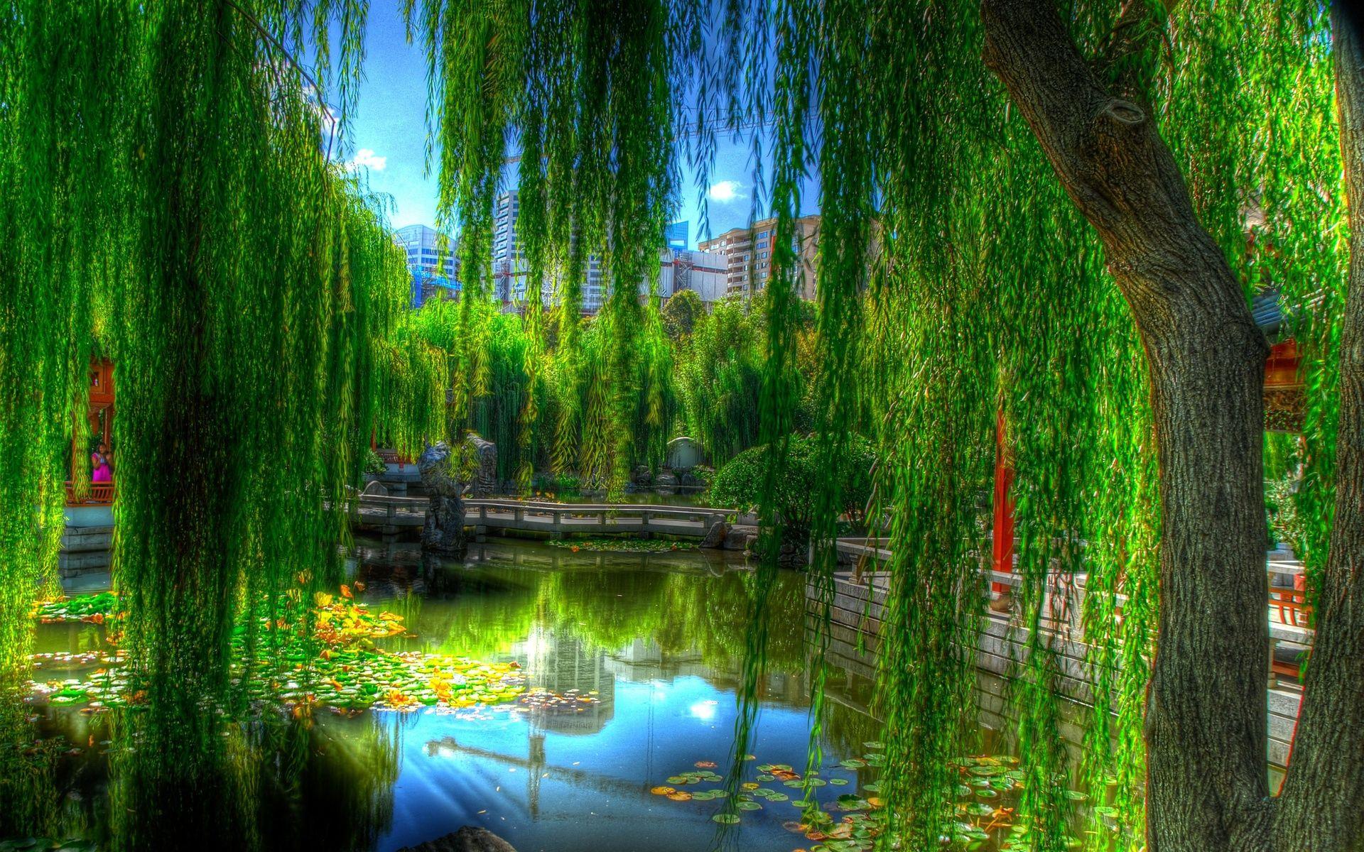 Asian Garden Wallpapers - Top Free Asian Garden Backgrounds