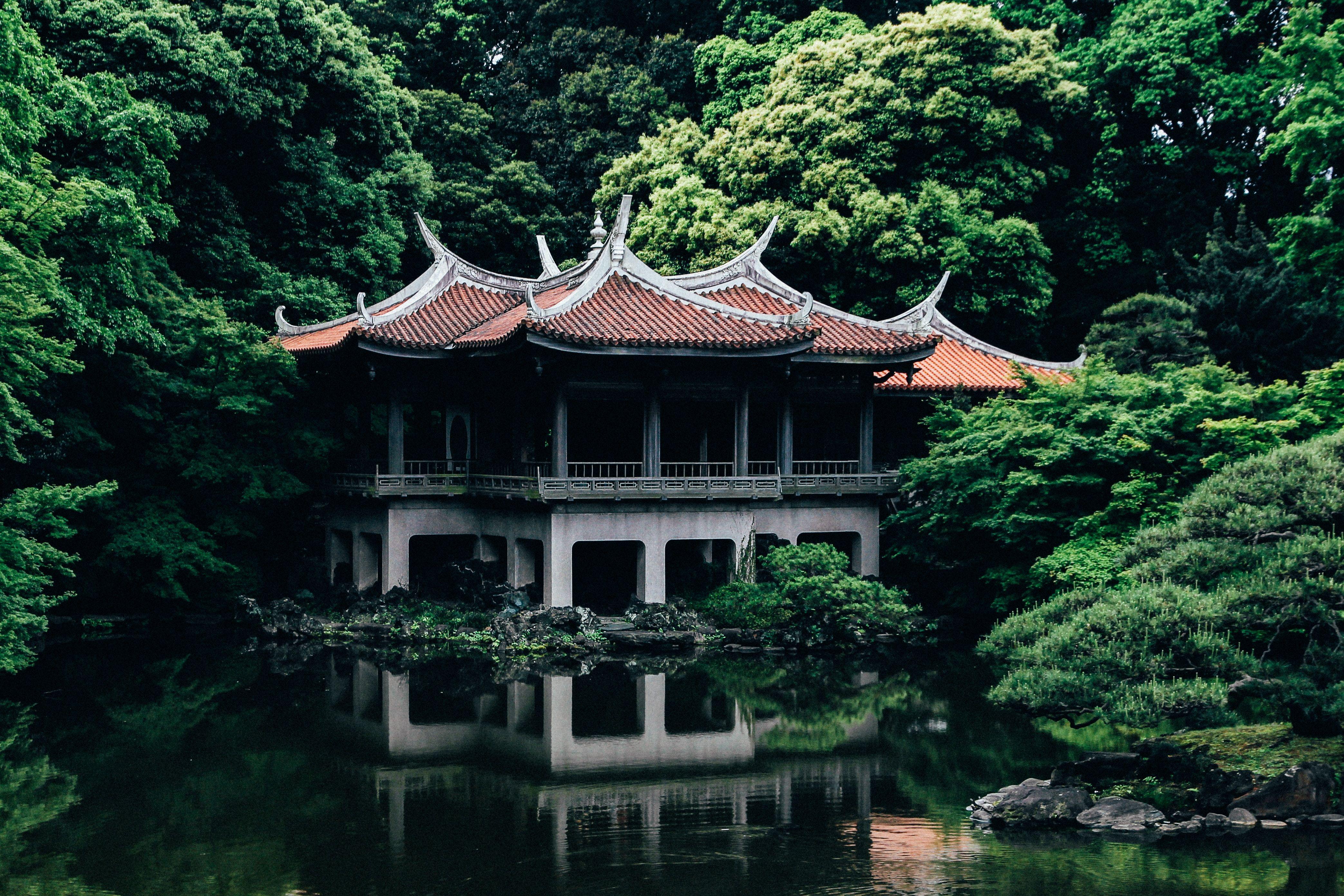 4173x2782 4173x2782 #japan, #PNG image, #temple, #tree, #water
