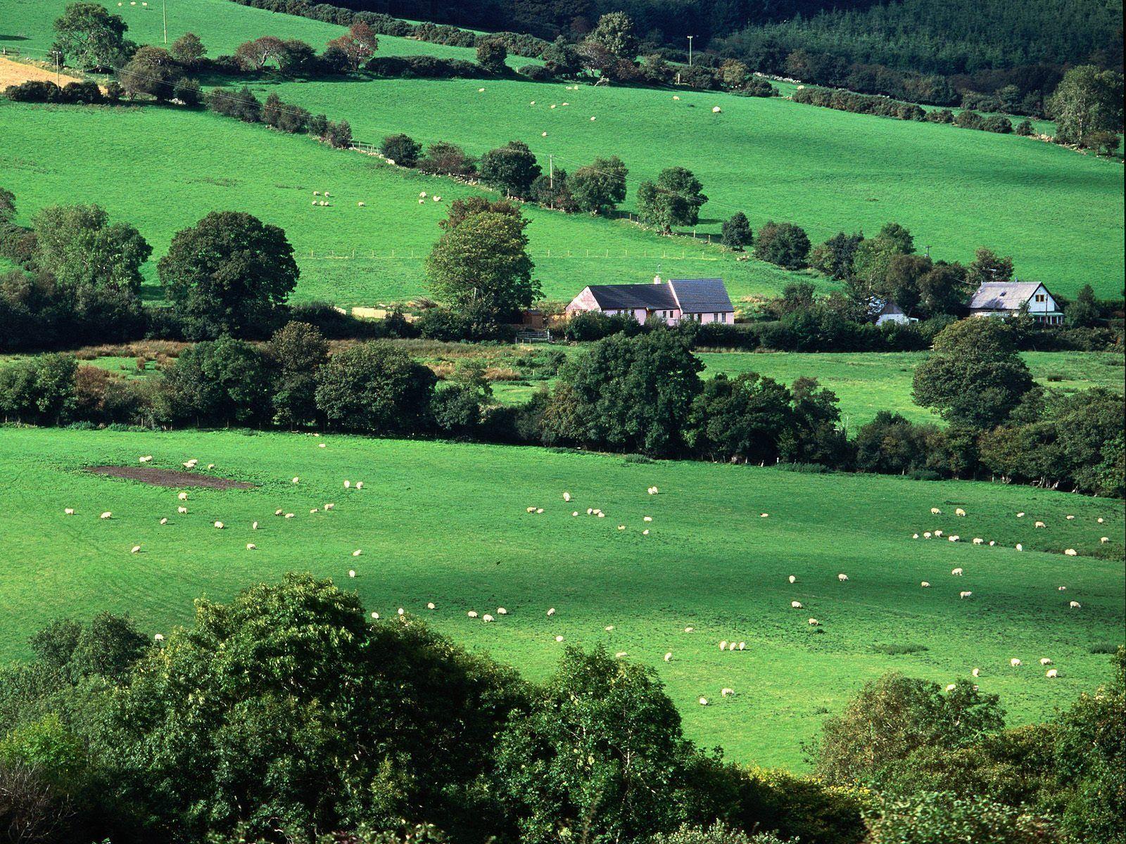 1600x1200 World scenery of Ireland Wallpaper Wallpaper