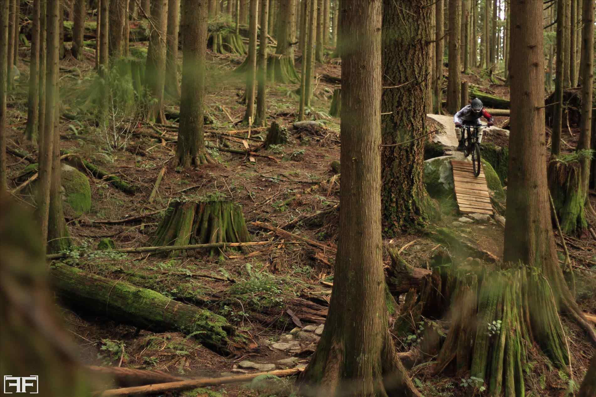 1900x1266 mountain bike wallpaper whistler
