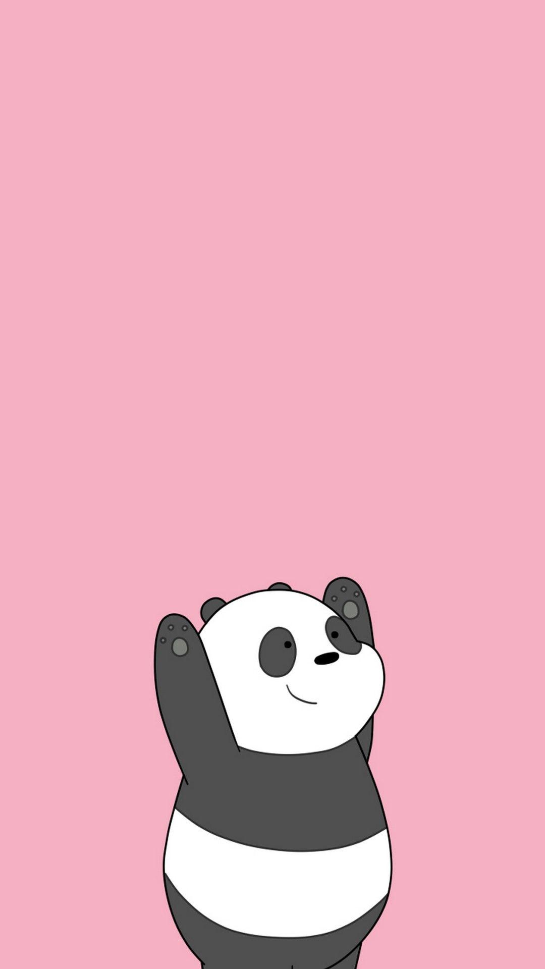 Cute Cartoon Panda Wallpapers Top Free Cute Cartoon Panda Backgrounds Wallpaperaccess