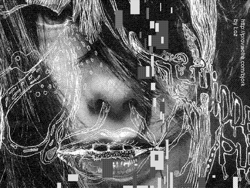 1024x768 best bjork wallpaper