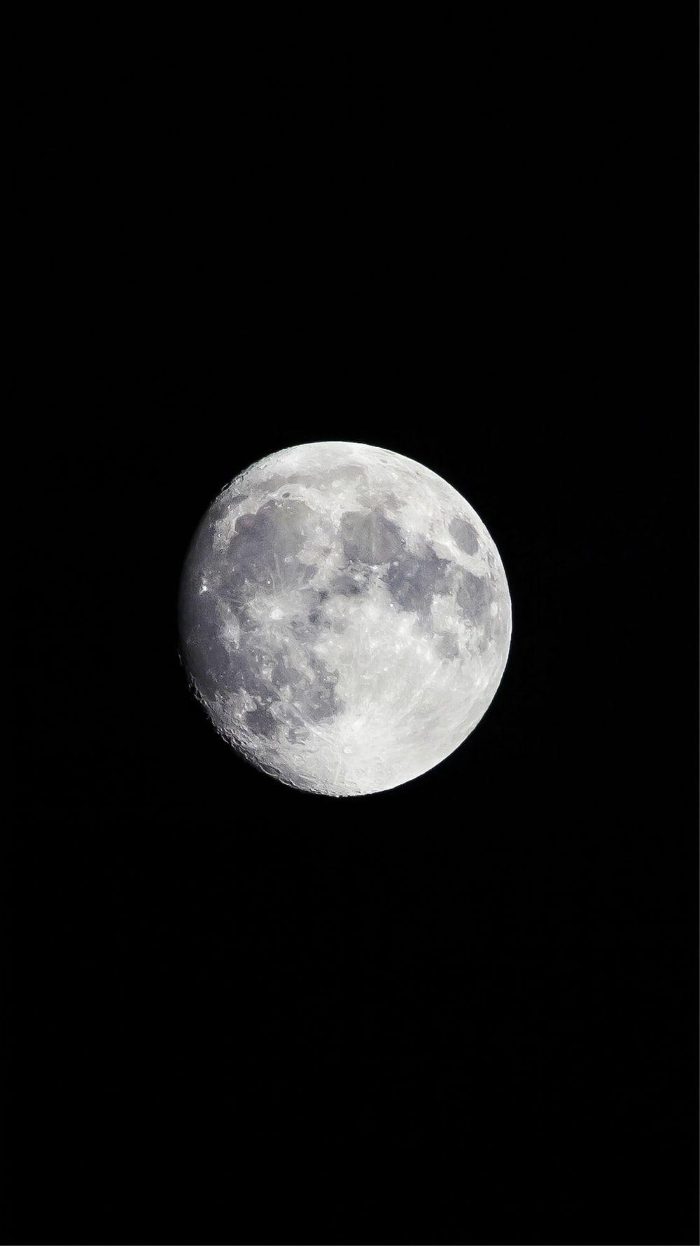 1000x1778 Wolf Image: Download HD Picture & Photo