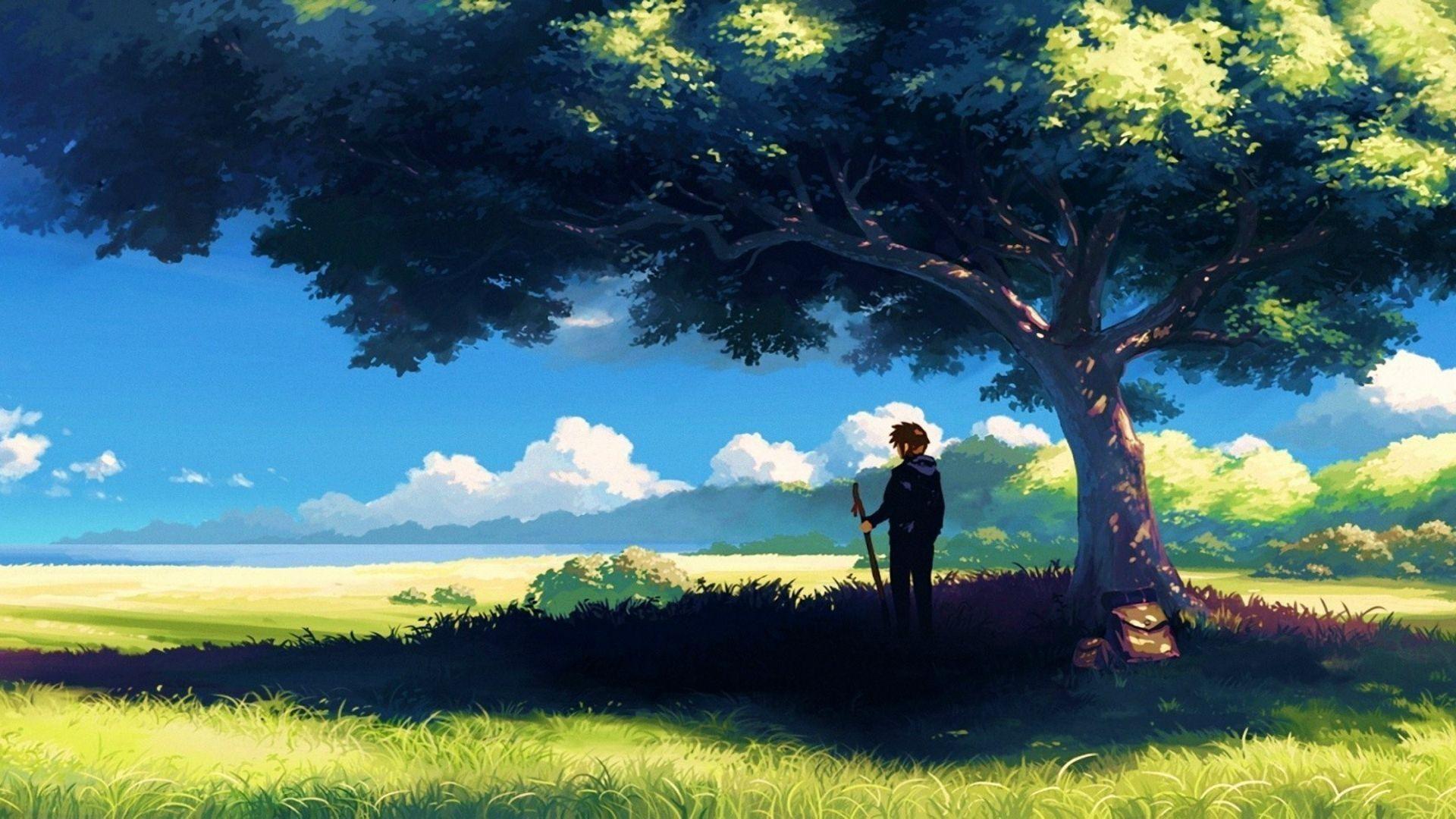 dreamy anime landscape wallpaper