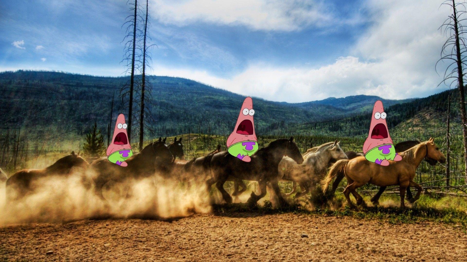 1920x1080 spongebob funny spongebob squarepants horses patrick star High Quality Wallpaper, High Definition Wallpaper