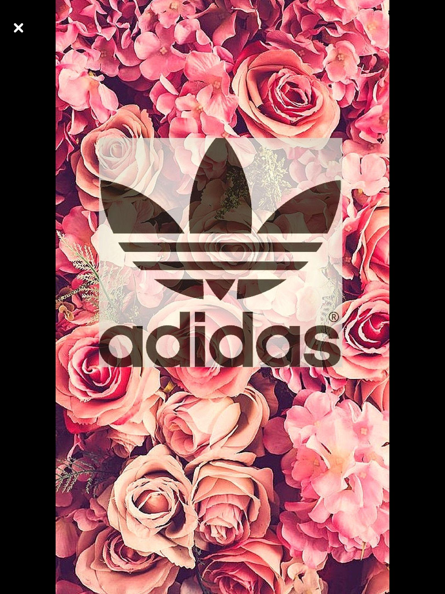 adidas rose wallpaper