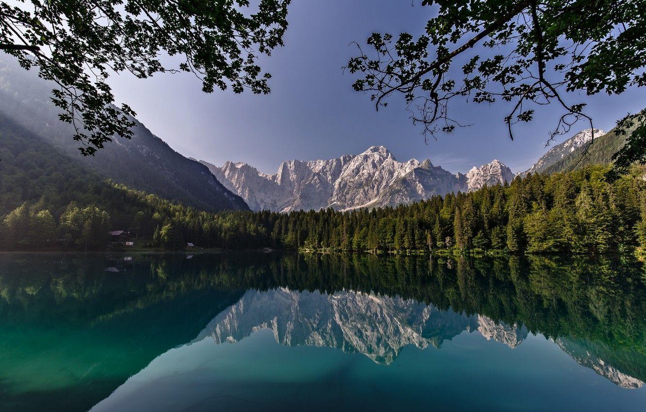 1332x850 Wallpaper forest, trees, mountains, branches, lake