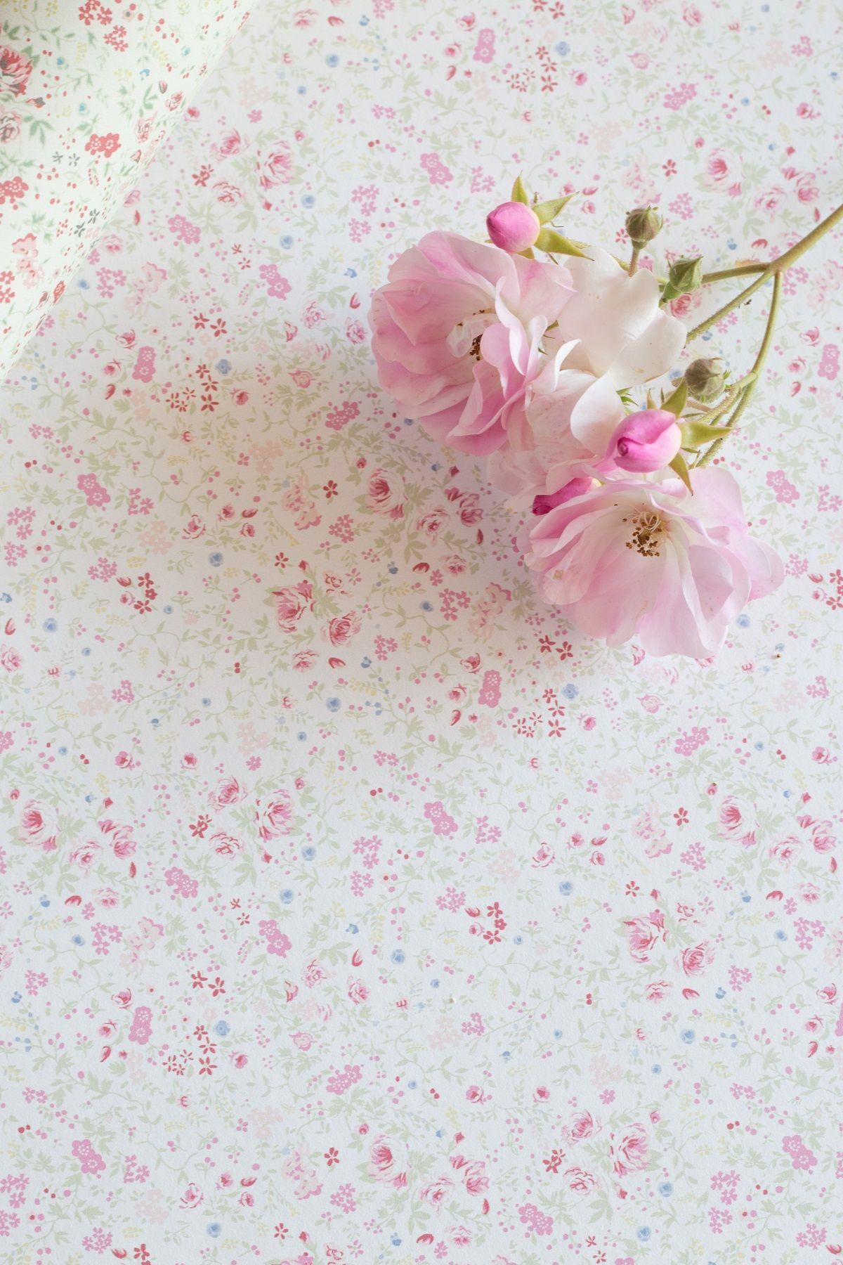 Dusty Pink Wallpapers - Top Free Dusty Pink Backgrounds - WallpaperAccess