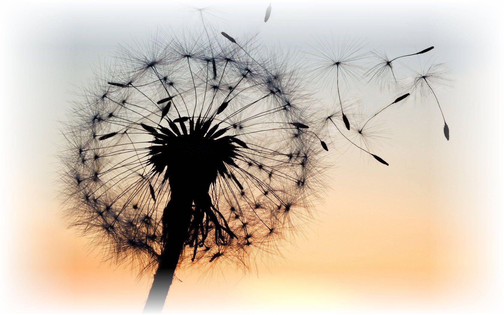 1680x1050 What does leadership vulnerability really mean?. .@
