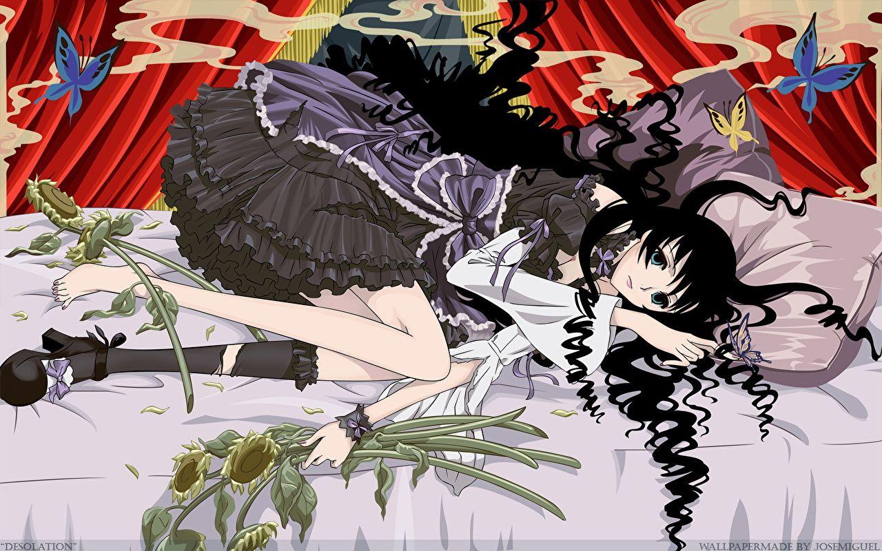 1280x800 Picture xxxHOLiC Anime
