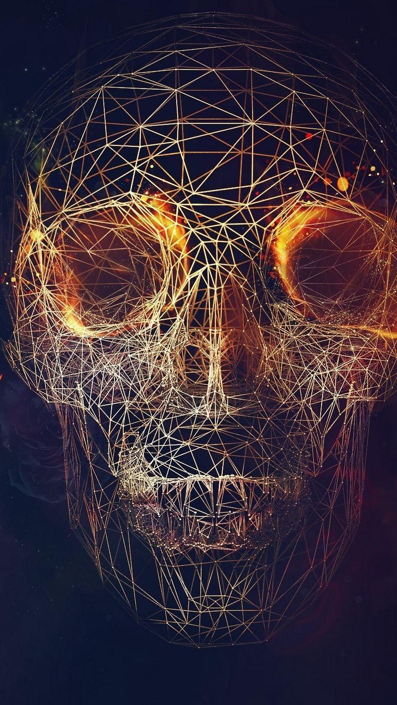 800x1420 Download wallpaper 800x1420 skull, lines, roses, geometry