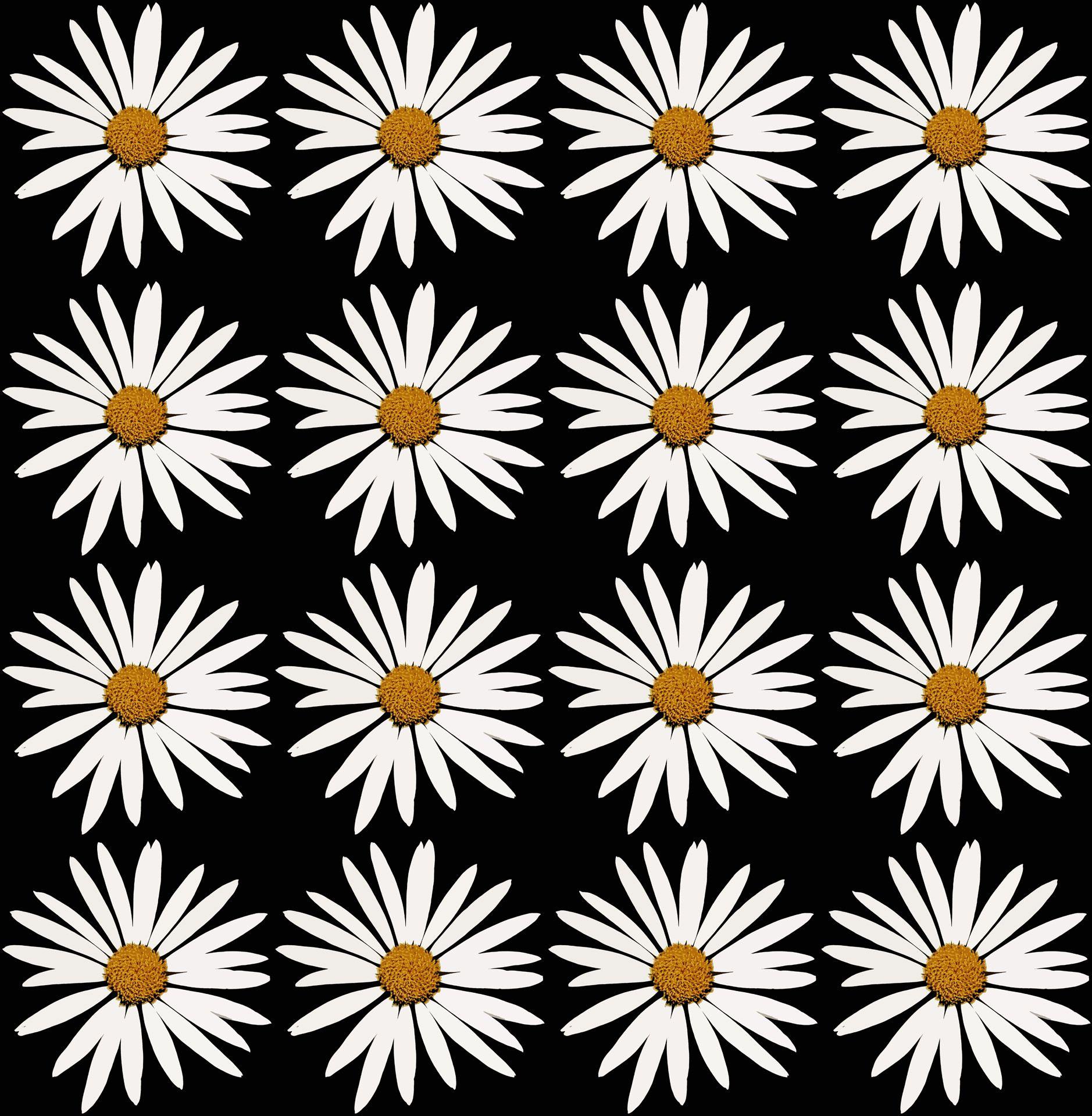 1878x1920 Daisy, white, repeat, wallpaper, background