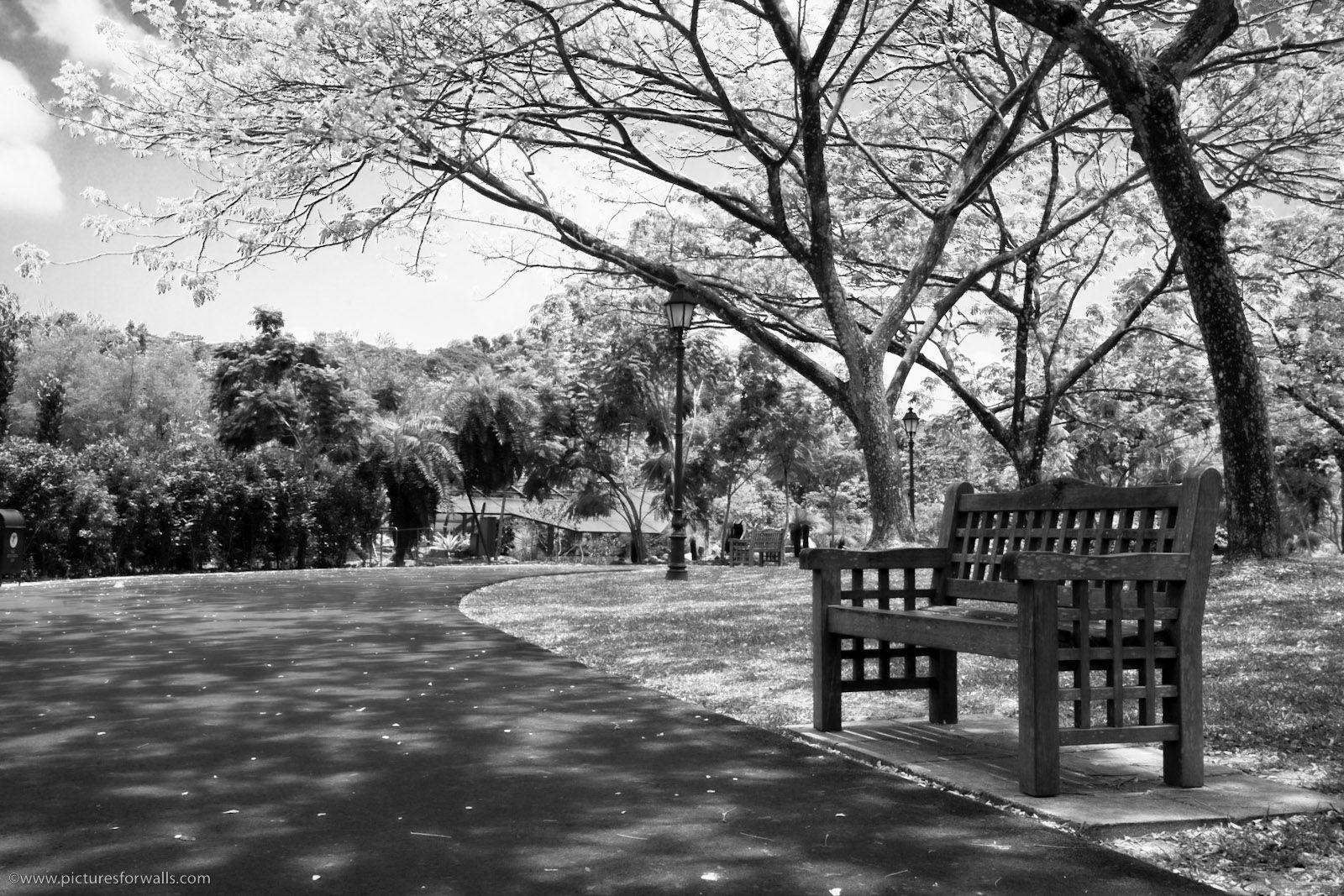 1600x1067 Black and White Paris Wallpaper