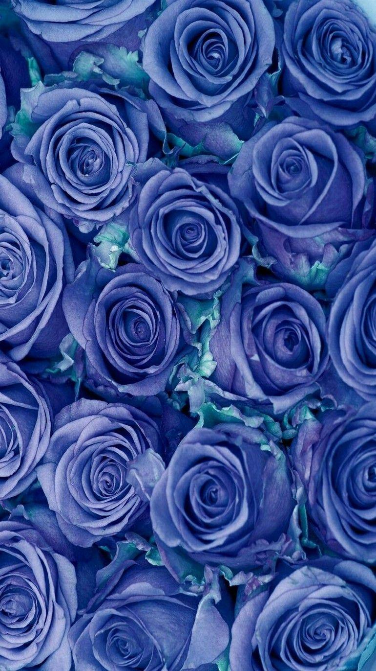Blue Rose Background Aesthetic - Garangan-Mambudem