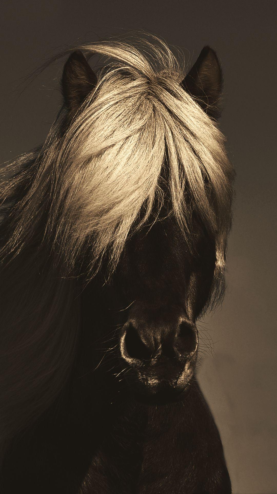 1080x1920 Free HD Dark Horse Phone Wallpaper.6687