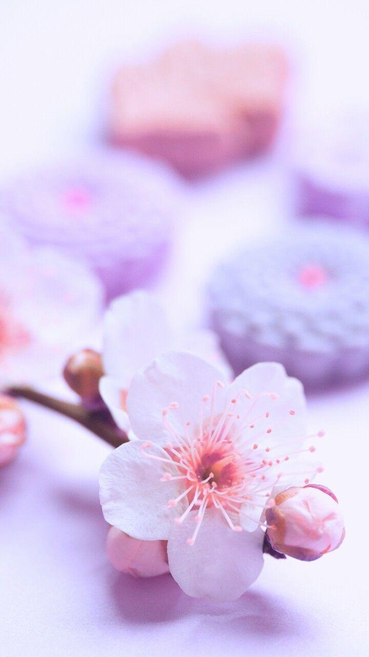720x1280 art, background, beautiful, beauty, design, flowers