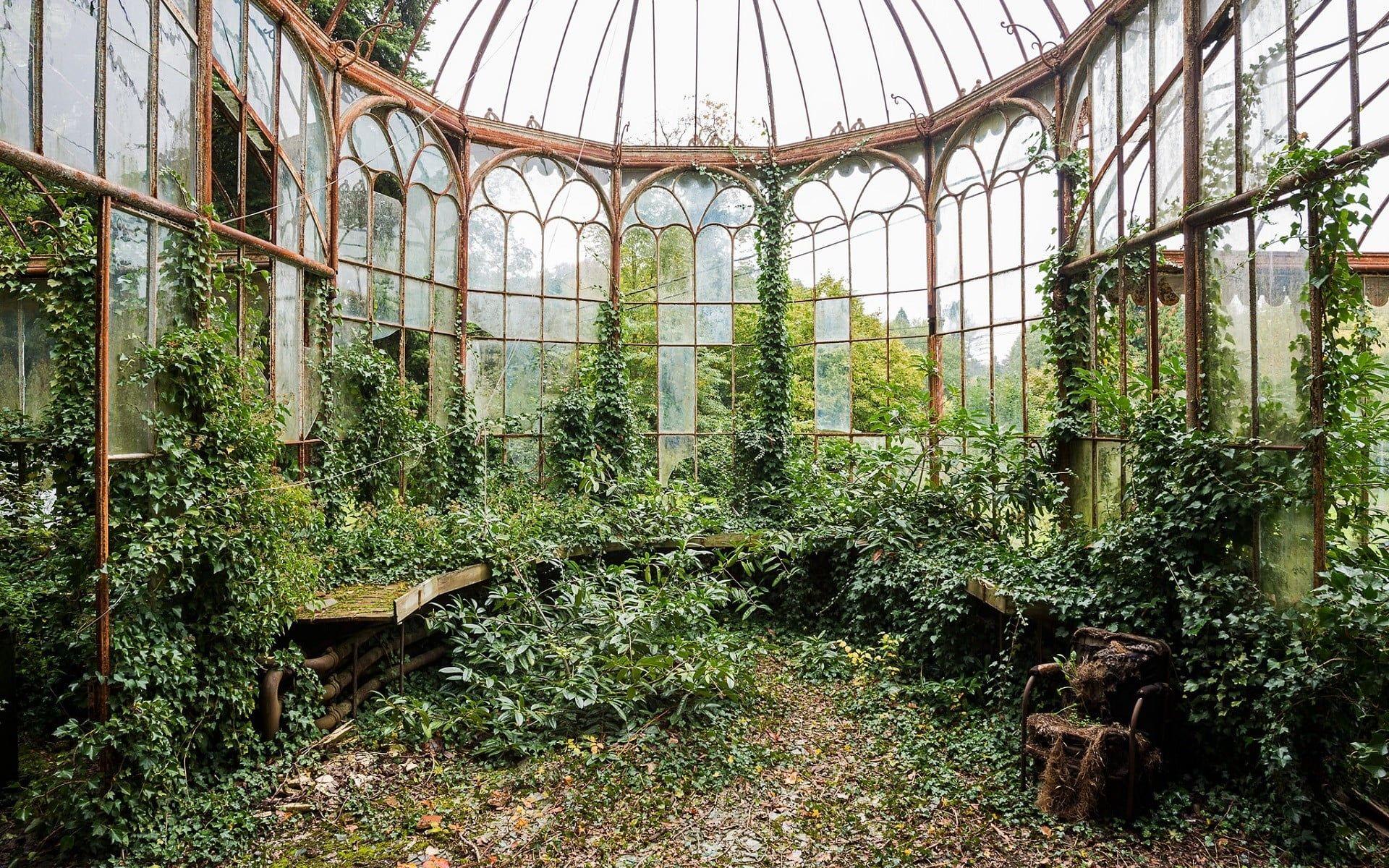 Greenhouse Wallpapers Top Free Greenhouse Backgrounds WallpaperAccess