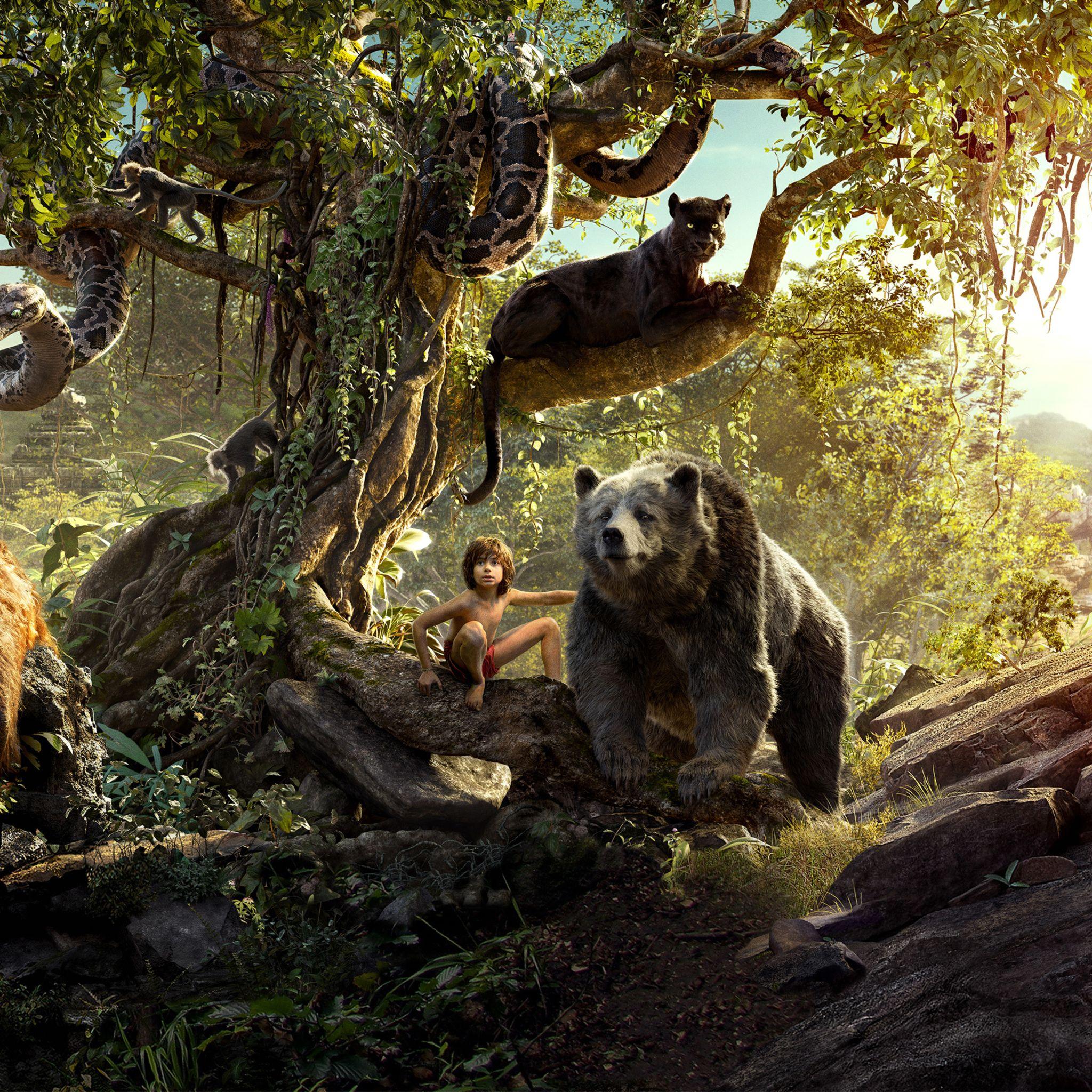 2048x2048 The Jungle Book Movie iPad Air HD 4k Wallpaper