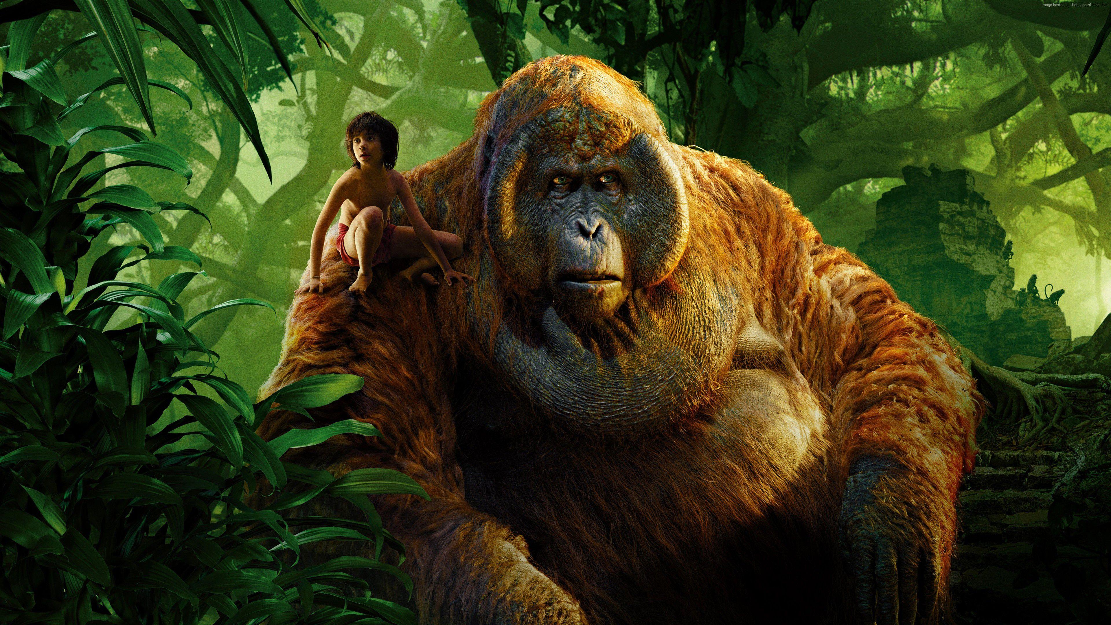 3840x2160 Desktop Wallpaper Movies Monkeys The Jungle Book 2016 3840x2160